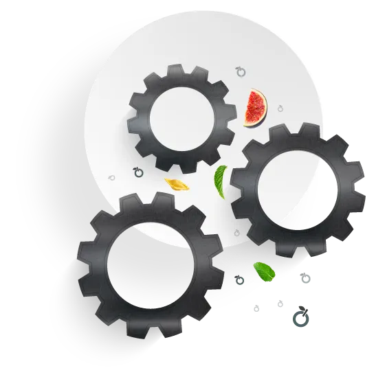 Gears and a slice of watermelon