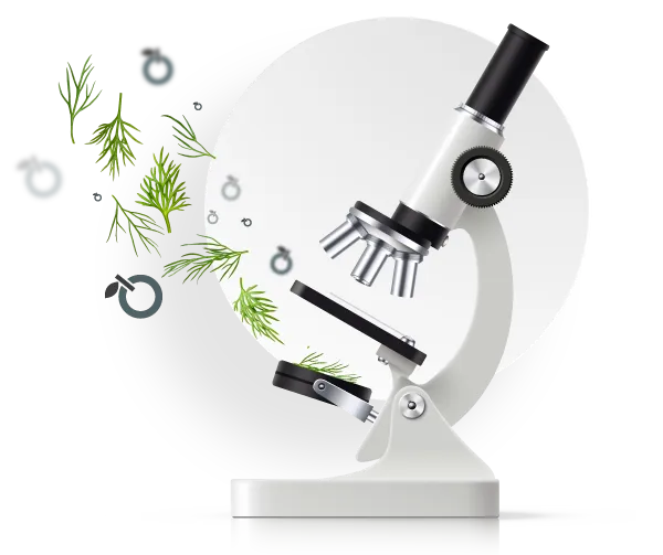 Microscope and herbs